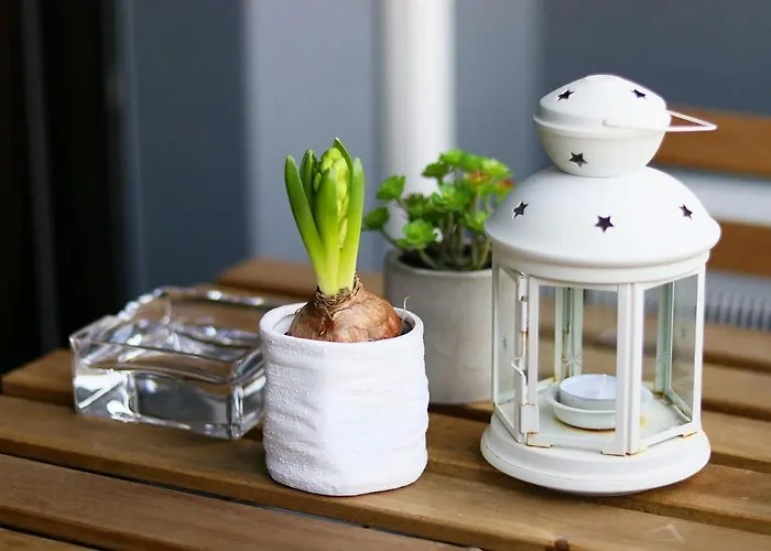 La Casetta Bg Апартаменты Бергамо