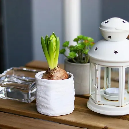 La Casetta Bg アパート ベルガモ